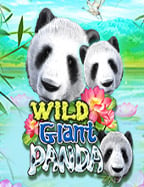 เกมส์ ได้ เงิน จริง เข้า บัญชี จริง ฟรี ที่ไม่ควรพลาด